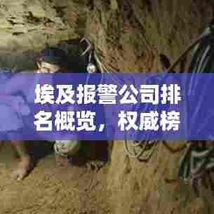 埃及报警公司排名概览，权威榜单及简介