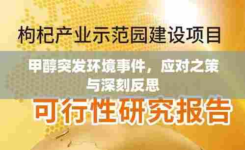 甲醇突发环境事件，应对之策与深刻反思