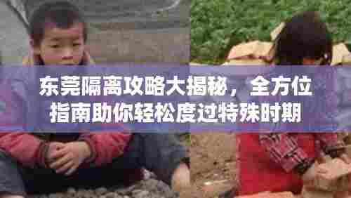 东莞隔离攻略大揭秘，全方位指南助你轻松度过特殊时期