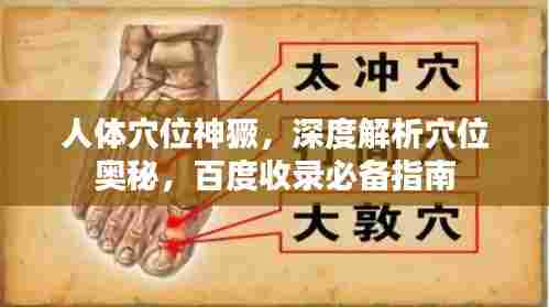 人体穴位神獗，深度解析穴位奥秘，百度收录必备指南