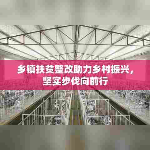 乡镇扶贫整改助力乡村振兴，坚实步伐向前行