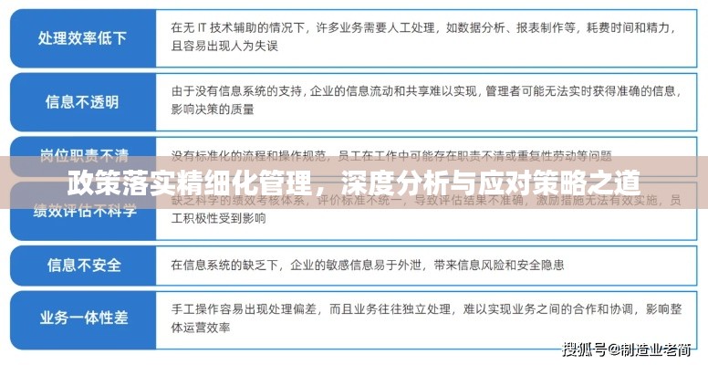 政策落实精细化管理，深度分析与应对策略之道