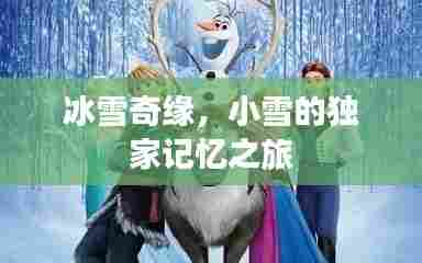 冰雪奇缘，小雪的独家记忆之旅