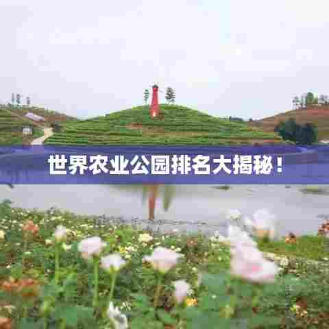 达官贵人 第6页