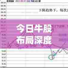 今日牛股布局深度解析，洞悉市场动向，捕捉精准投资机会