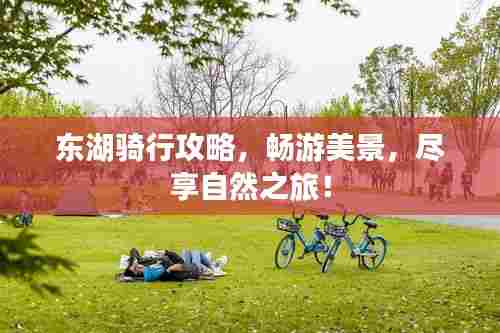 东湖骑行攻略，畅游美景，尽享自然之旅！