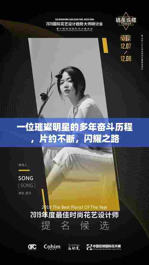 一位璀璨明星的多年奋斗历程，片约不断，闪耀之路