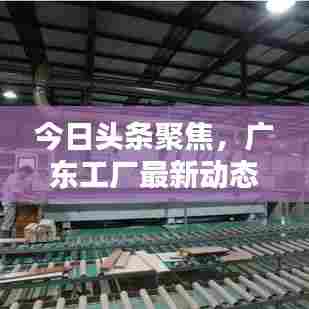 今日头条聚焦，广东工厂最新动态报道
