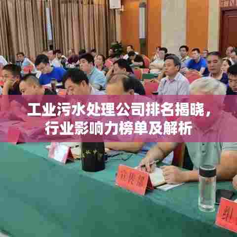 工业污水处理公司排名揭晓，行业影响力榜单及解析