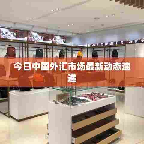 美如冠玉 第6页