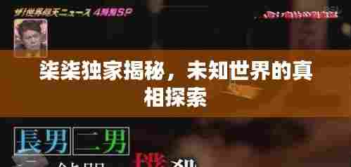 柒柒独家揭秘，未知世界的真相探索