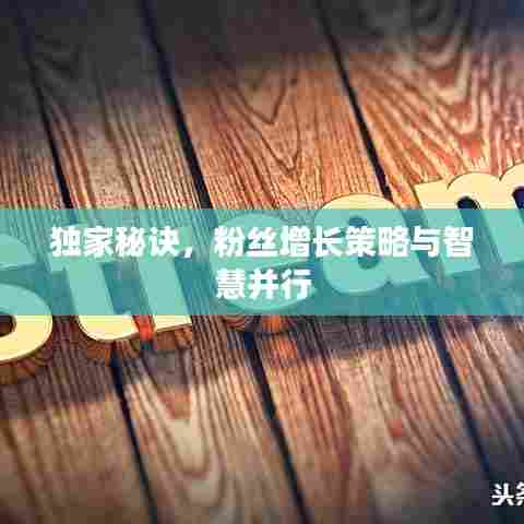 独家秘诀，粉丝增长策略与智慧并行