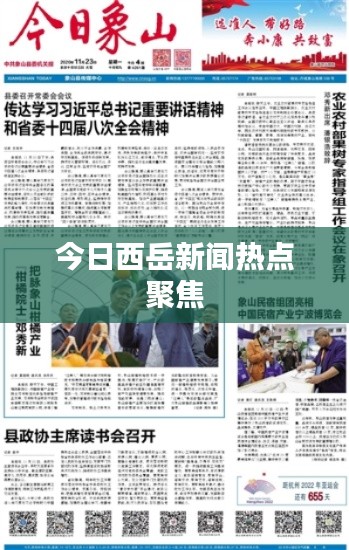 今日西岳新闻热点聚焦