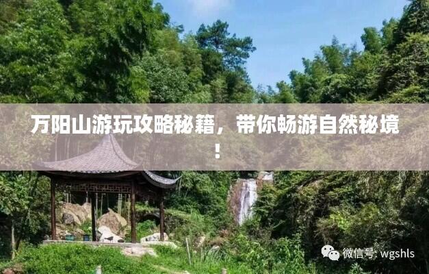 万阳山游玩攻略秘籍，带你畅游自然秘境！
