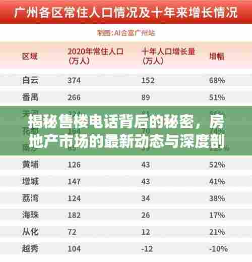 揭秘售楼电话背后的秘密，房地产市场的最新动态与深度剖析