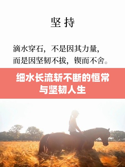 细水长流斩不断的恒常与坚韧人生