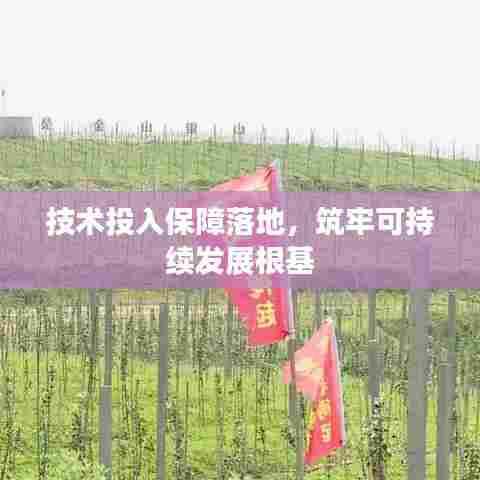 技术投入保障落地，筑牢可持续发展根基