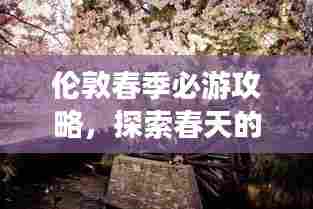 伦敦春季必游攻略，探索春天的浪漫与风情