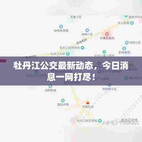 牡丹江公交最新动态，今日消息一网打尽！