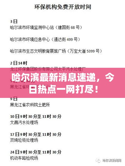 哈尔滨最新消息速递，今日热点一网打尽！