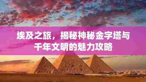 貌美如花 第5页