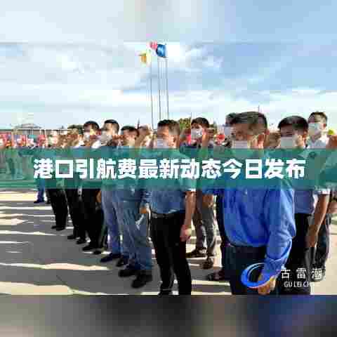 港口引航费最新动态今日发布