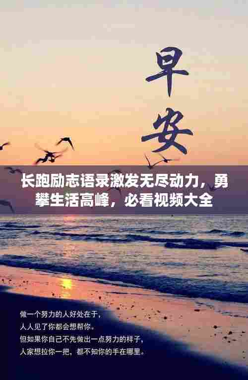 物以希为贵 第6页