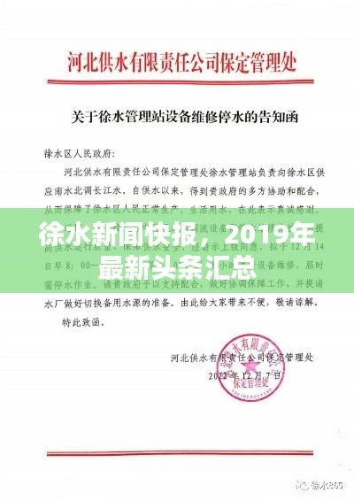 徐水新闻快报，2019年最新头条汇总