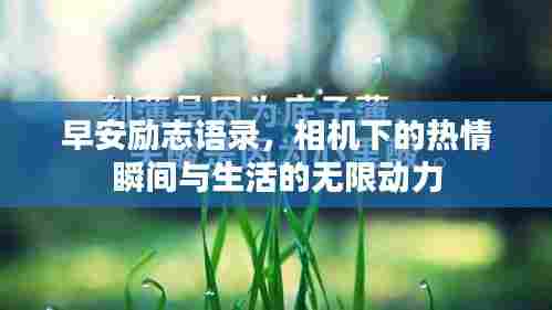 早安励志语录，相机下的热情瞬间与生活的无限动力