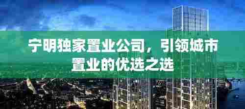 宁明独家置业公司，引领城市置业的优选之选