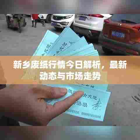 新乡废纸行情今日解析，最新动态与市场走势