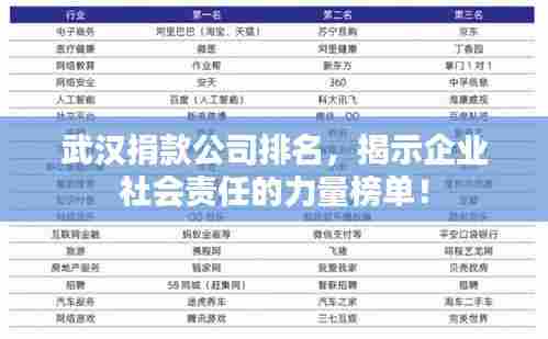 武汉捐款公司排名，揭示企业社会责任的力量榜单！