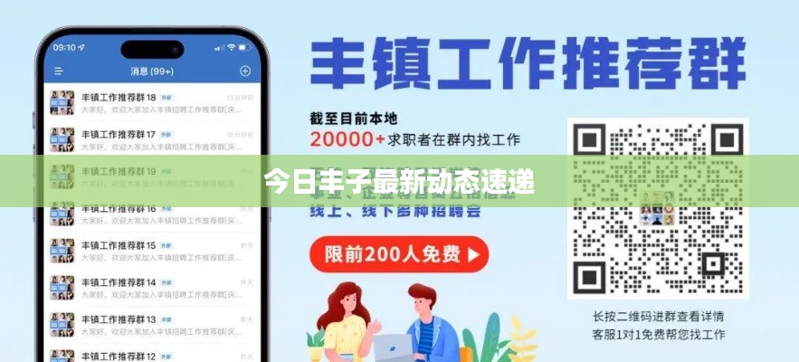 今日丰子最新动态速递