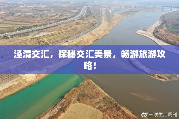 标新立异 第5页