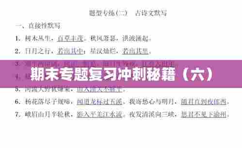 期末专题复习冲刺秘籍（六）
