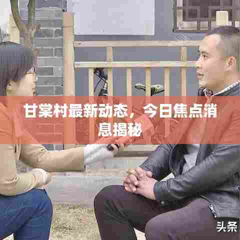 甘棠村最新动态，今日焦点消息揭秘
