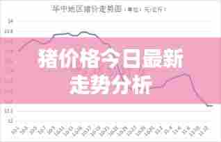 猪价格今日最新走势分析