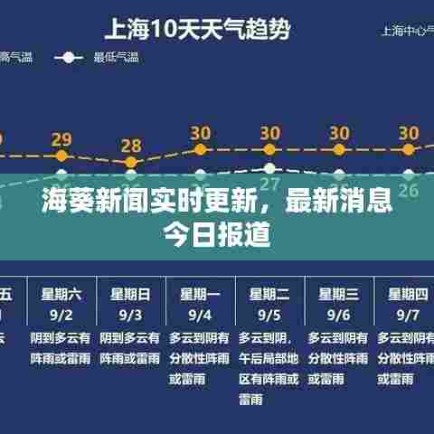 海葵新闻实时更新，最新消息今日报道