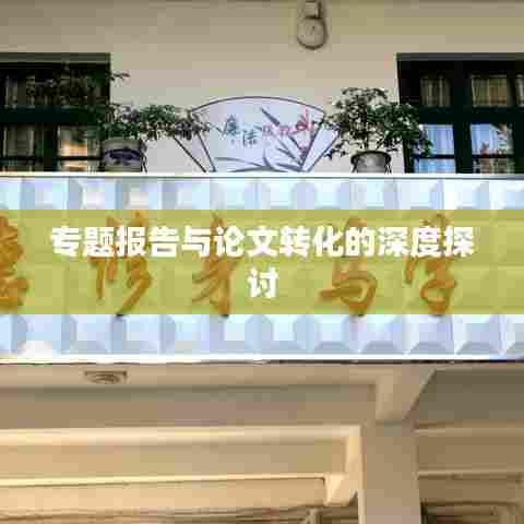 专题报告与论文转化的深度探讨