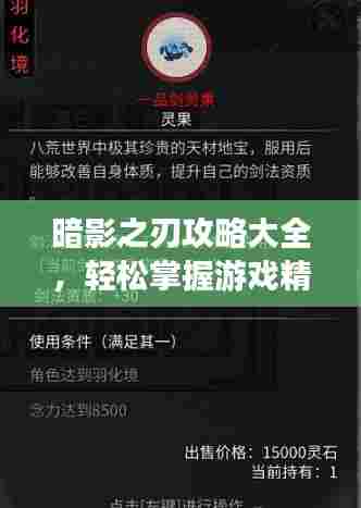 暗影之刃攻略大全，轻松掌握游戏精髓，助你成为顶尖高手！