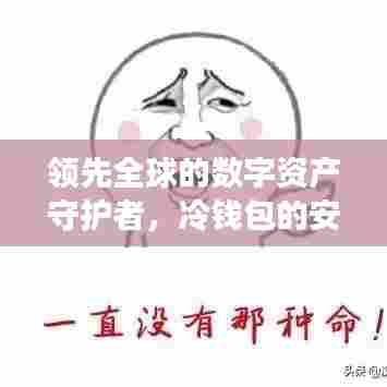 领先全球的数字资产守护者，冷钱包的安全存储之选