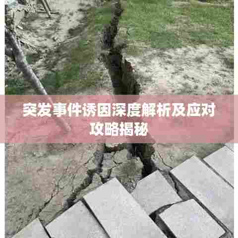 突发事件诱因深度解析及应对攻略揭秘