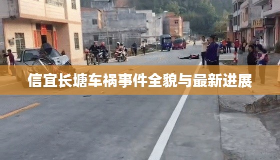 信宜长塘车祸事件全貌与最新进展