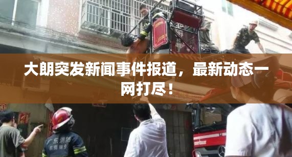 大朗突发新闻事件报道，最新动态一网打尽！