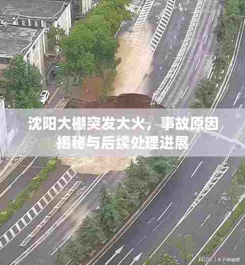 沈阳大棚突发大火，事故原因揭秘与后续处理进展