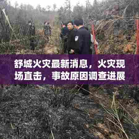 舒城火灾最新消息，火灾现场直击，事故原因调查进展顺利！