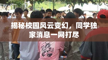 揭秘校园风云变幻，同学独家消息一网打尽
