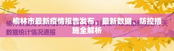 榆林市最新疫情报告发布，最新数据、防控措施全解析