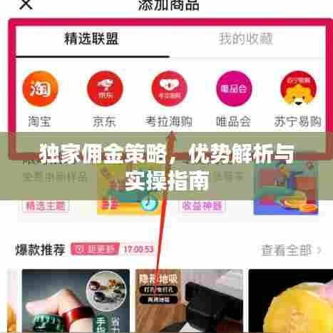 独家佣金策略，优势解析与实操指南