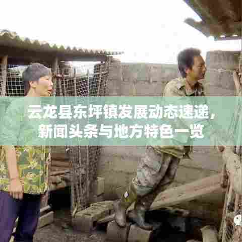 云龙县东坪镇发展动态速递，新闻头条与地方特色一览
